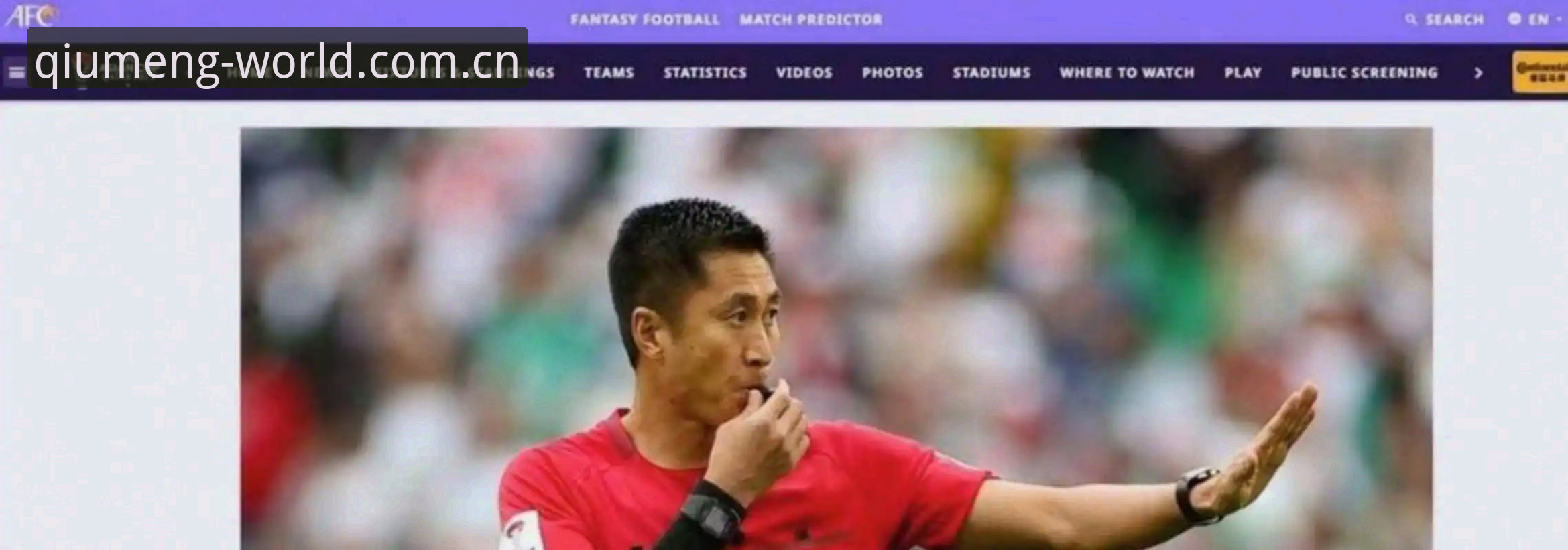 裁判视角下的世界杯——马宁执裁心得与海外华人赛事资讯指南