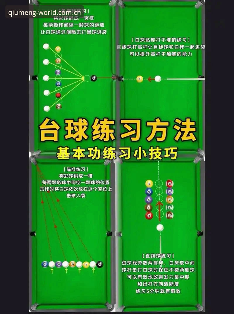 球盟会官网电脑版登录全攻略：新手必备知识与实用技巧
